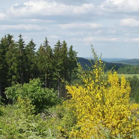 Le Fournil In With Garden *