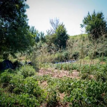 Casa vacanze Le Fournil In With Garden Manhay