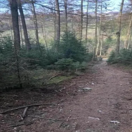 Le Fournil In With Garden *