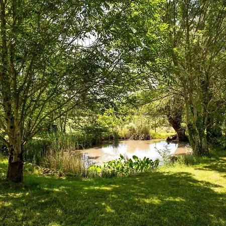 Le Fournil In With Garden Feriehus Manhay